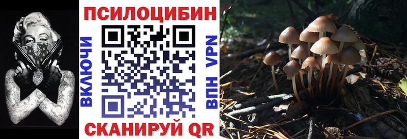 Псилоцибиновые грибы Magic Shrooms MEGA ссылка Сердобск